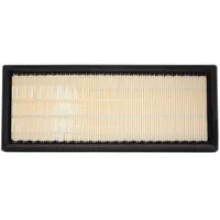 Champion Filter CAF100501P