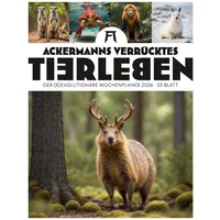 Ackermann Verrücktes Tierleben Wochenplaner mit KI-Bildern Kalender 2026