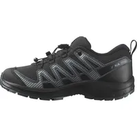 Salomon Xa Pro V8 Wp Wanderschuhe - Black /