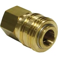 TEGUMA Schnellver.Kup m.IG MessingNBR Gew.1/4 Zoll Durchfluss(Luft) 1000