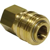 TEGUMA Schnellver.Kup m.IG MessingNBR Gew.1/2 Zoll Durchfluss(Luft) 775