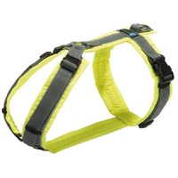 AnnyX Hunde-Geschirr Brustgeschirr Protect - gut sichtbar - einstellbar,