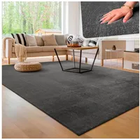 Paco Home Teppich Wohnzimmer, Kurzflor weich, waschbar, In Dunkel