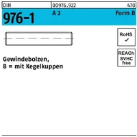 Hörger & Geßler Gewindebolzen DIN 976 Kegelkuppen BM 20