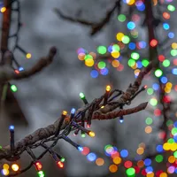 Star trading deutschland gmbh LED-Lichterkette 'Flashy', 800 bunte LED