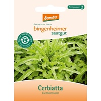 Bingenheimer Saatgut - Eichblattsalat Cerbiatta
