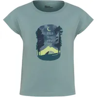 Jack Wolfskin Graphic Kurzarm-t-shirt - Print Soft Jade -