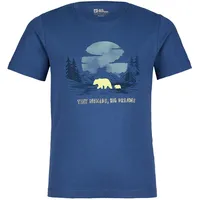 Jack Wolfskin Graphic Cotton T Kids print evening sky