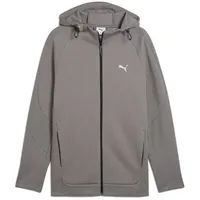 Puma Evostripe Reißverschlusspullover - Cast Iron - XL