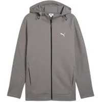 Puma EVOSTRIPE Kapuzenjacke Herren PUMA Cast Iron gray), grau