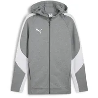 Puma teamEVOSTRIPE Hooded Jacket 3XL