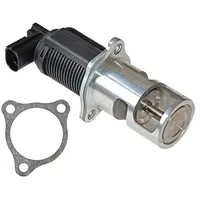 TRISCAN AGR-Ventil 8813 29065