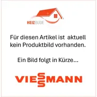 Viessmann WPPS 500L