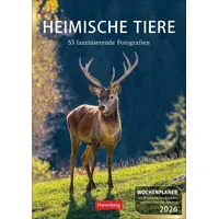 Harenberg Heimische Tiere Wochenplaner 2026 - 53 faszinierende Fotografien