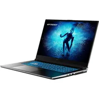 Medion Erazer Defender P50 17,3'' Intel Core i5-13420H 16
