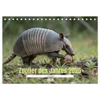 Calvendo Zootier des Jahres 2025 - Gürteltier (Tischkalender 2026