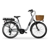 MBM Elektro-Citybike RHEA 24 Zoll, grey