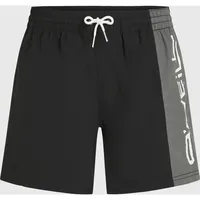 O'Neill Badeshorts Retro in Schwarz - L