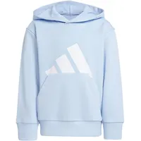 Adidas Essentials Big Logo Hoodie, Glow Blue/White, 4-5 Years