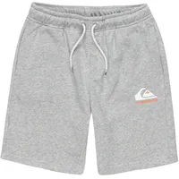 QUIKSILVER Easy Day grau
