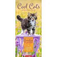 Weingarten Cool Cats Familienplaner 2026