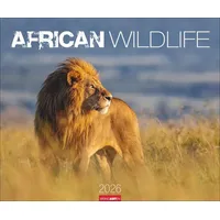 Weingarten African Wildlife Kalender 2026