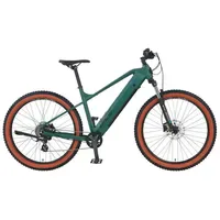 Prophete Dice 1.0 2023 27,5 Zoll RH 48 cm