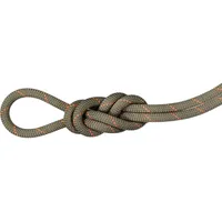 Mammut 9.9 Gym Workhorse Classic Rope 40m