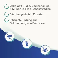 Beaphar Dimethicare Anti-Floh-Fogger 200 ml