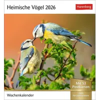 Harenberg Heimische Vögel Postkartenkalender 2026 - Wochenkalender mit 53
