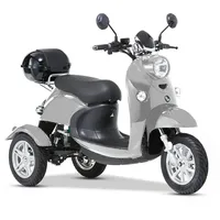 Eneway Modena II Elektromobil 25 km/h E-Trike silber
