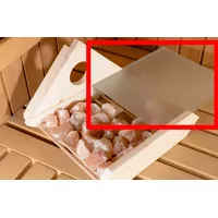 InfraWorld Ersatz-Glasscheibe sandgestrahlt für Salzkristallleuchte - A4104