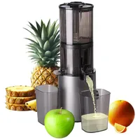 Rosenstein & Söhne Elektro-Ganzfrucht-Kalt-Entsafter Slow Juicer silber