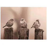 Art for the home Outdoor Leinwandbilder Vogel 50x70cm", -