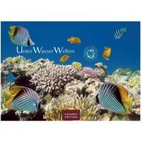 Casares Fine Art Edition Unterwasserwelten Kalender 2026 – Wandkalender