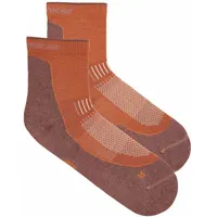 Icebreaker Merino Hike+ Light Mini Socken - Dusty Clay