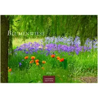Casares Fine Art Edition Blumenwiese Kalender 2026 – Wandkalender