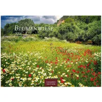 Casares Fine Art Edition Blumenwiese Kalender 2026 - Wandkalender
