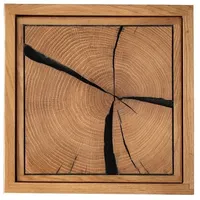 Main Möbel Wandregal Wandregal mit Holztür Wildeiche Danzig II