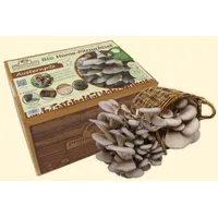 Pilzmännchen Austernpilz Bio Home-Pilzzuchtset