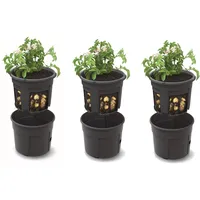 Botle Kartoffel Pflanztopf 28 x 32 cm Schwarz Komplettset