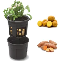 Botle Kartoffel Ø 40 x 32 cm Schwarz