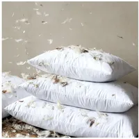 Chic Antique Innenkissen mit Entenfedern und Daunen für Kissenbezüge,