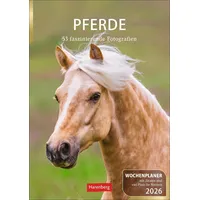 Harenberg Pferde Wochenplaner 2026 - 53 faszinierende Fotografien