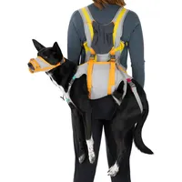Ruffwear BackTrak Dog Evacuation Kit - Hundegeschirr Cloudburst Gray
