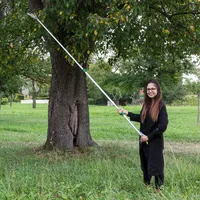 DEMA & Baumschere Baumsäge Astschere Astsäge Gartenschere hold –