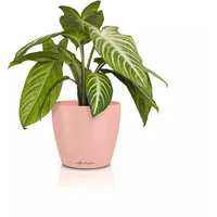 LECHUZA Pflanzgefäß Classico Color Ø 15 cm x 13,5
