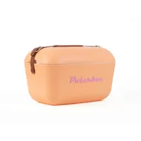 POLARBOX 114060 - Classic 12 Liter Sorbet