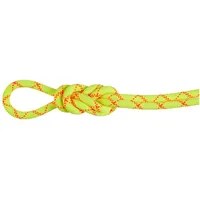 Mammut 9.5 Alpine Core Protect Dry Rope - Kletterseil