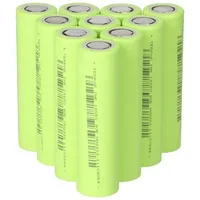 BMZ 10x Lishen LR1865SS | TerraE INR 18650 30E